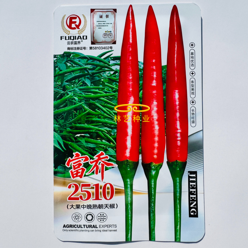 新品富乔2510朝天椒种子大果中晚熟单生朝天椒种籽
