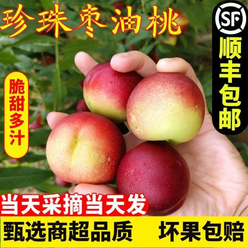 珍珠枣油桃