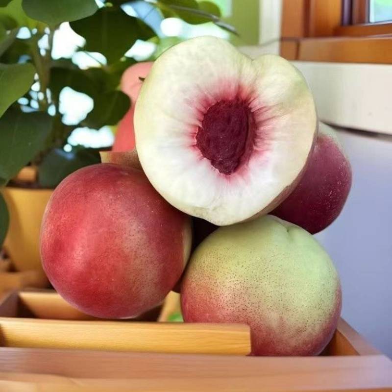 珍珠枣油桃