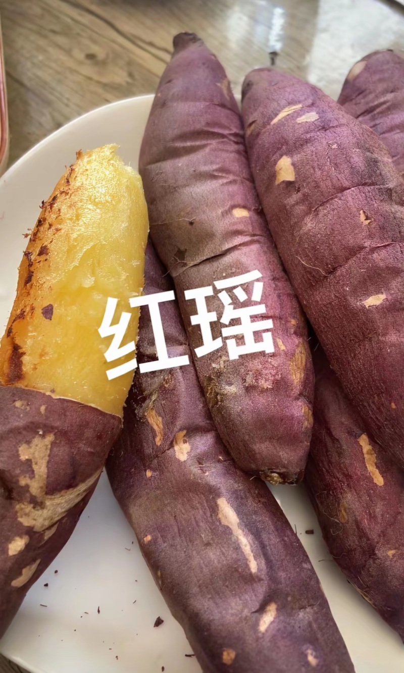 精品红瑶，2026现挖新货红薯，无筋无丝，价格公道