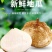 精品凉薯白地瓜大量上市供应口感甜汁多脆甜可口需要请联系