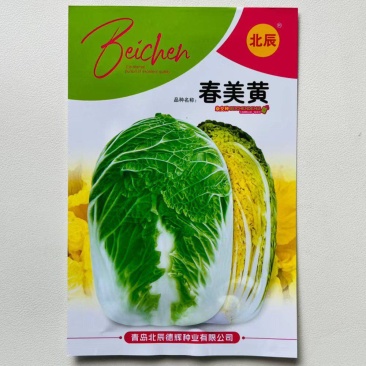 北辰春美黄大白菜种子抗病杂交纤维少黄心大白菜种籽农家春秋