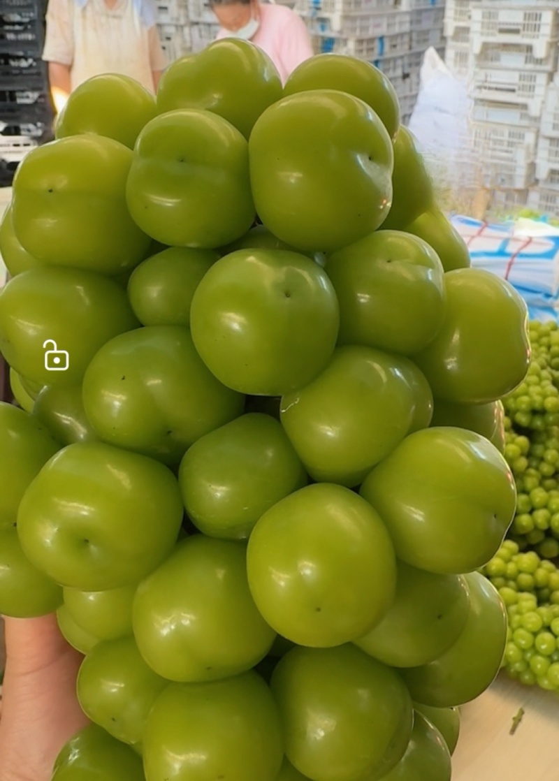 阳光玫瑰，新开园园子货，底糖15+，串形好，颗粒饱满