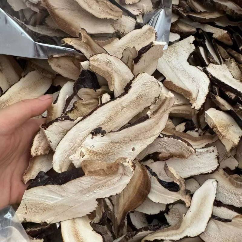 长白山林下防野生灵芝片