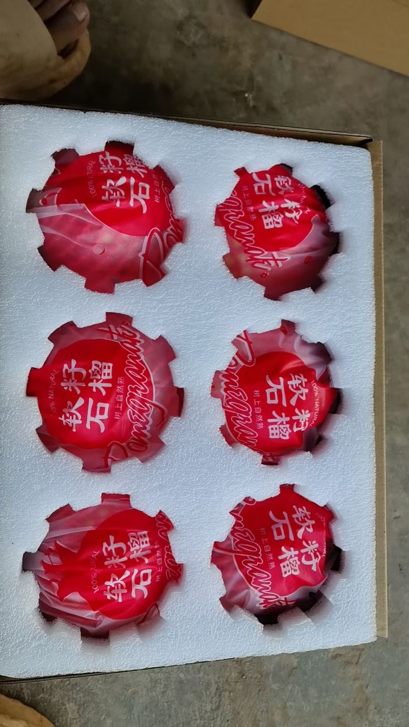 会理突尼斯软子石榴