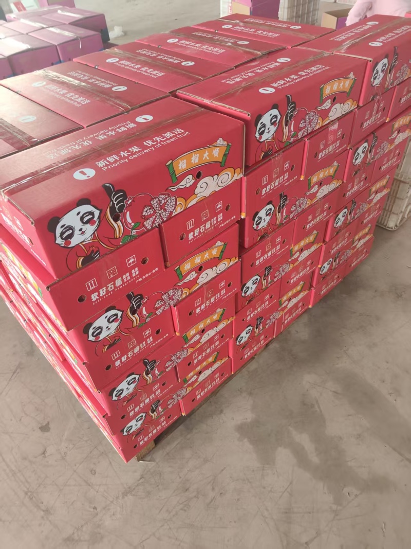 大凉山会理突尼斯软籽石榴
