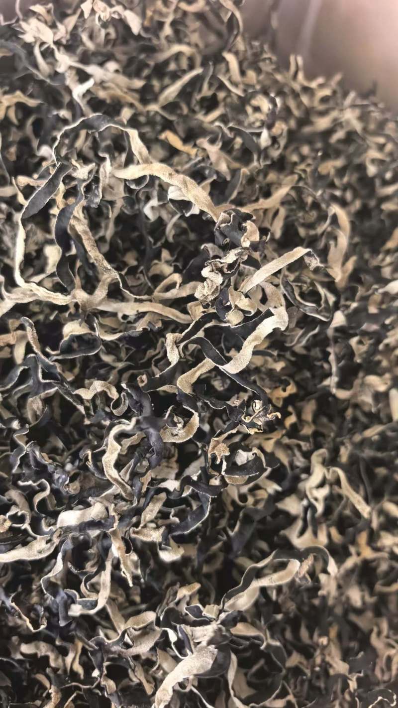 木耳木耳丝产地直发