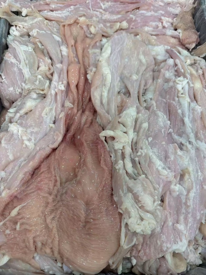 牛大肠精修去油牛大肠有需要的老板联系