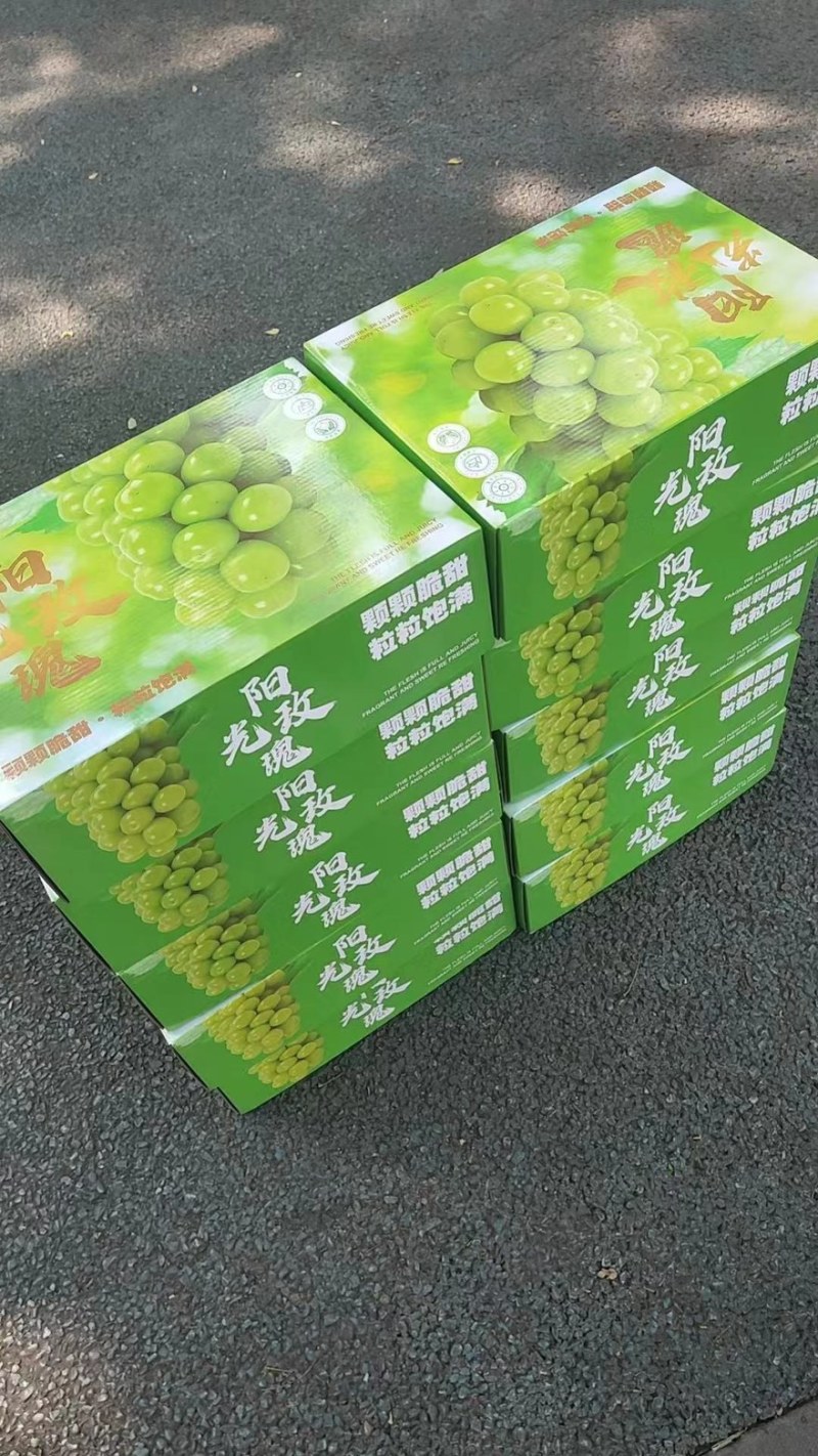 阳光玫瑰
