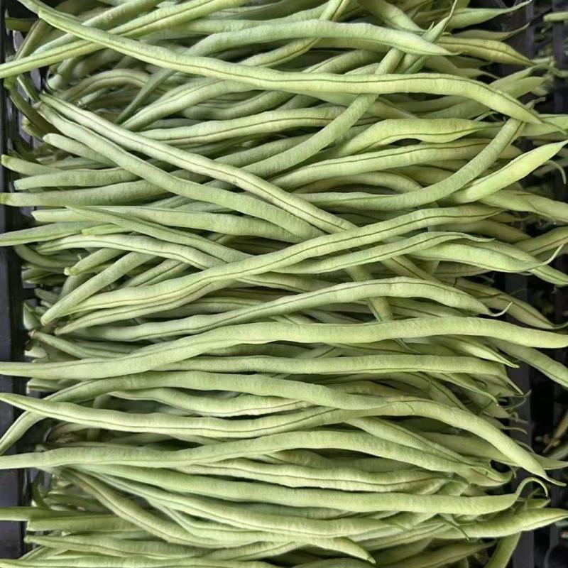 高原精品架豆，四季豆