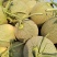 小蜜25