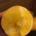 黄金蜜大油桃套袋油桃