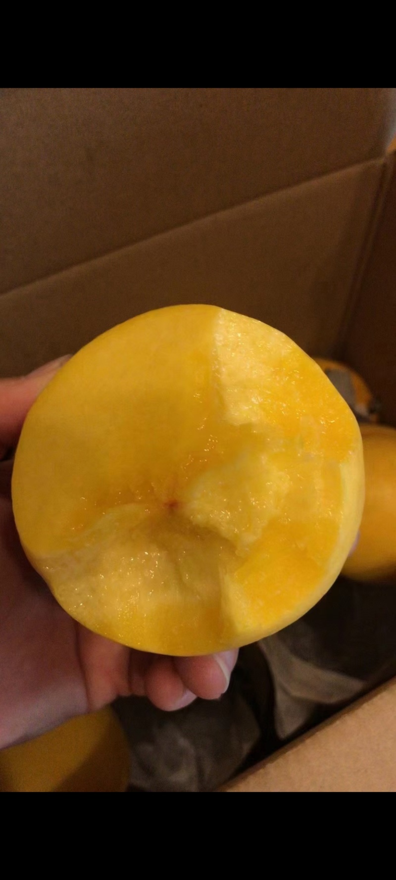 黄金蜜大油桃套袋油桃