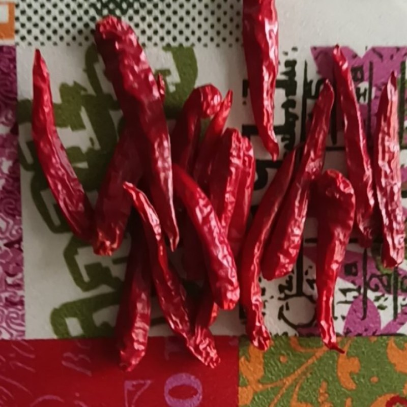 高辣辣椒816-876艳红-小青羊