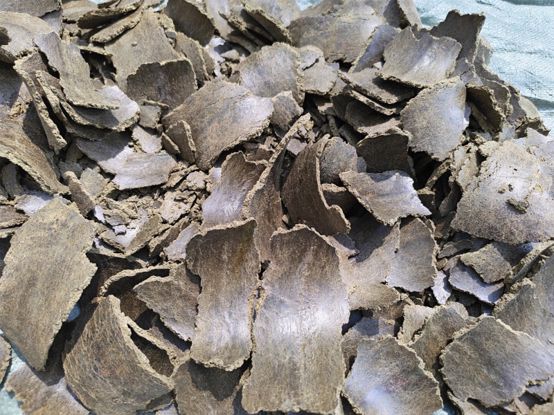 菜粕核桃饼花生饼蓖麻饼有机肥