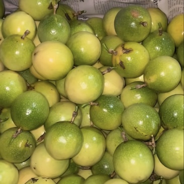 黄金百香果