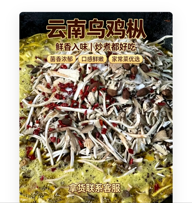 云南深山乌鸡枞，骨朵源头供货，