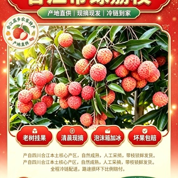 合江带绿荔枝