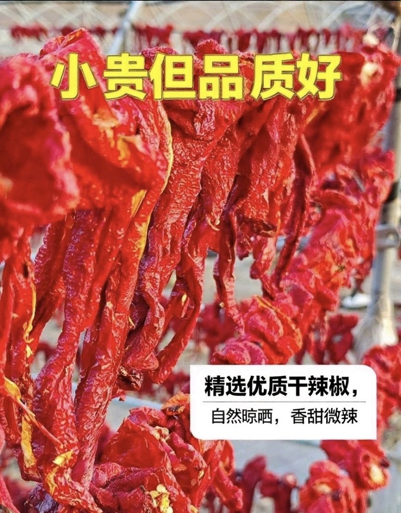 伊犁精品天然晾晒厚肉辣皮子，新疆厚肉辣皮子