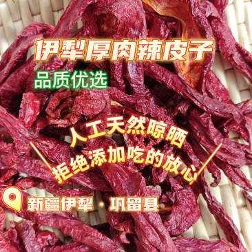 伊犁精品天然晾晒厚肉辣皮子，新疆厚肉辣皮子
