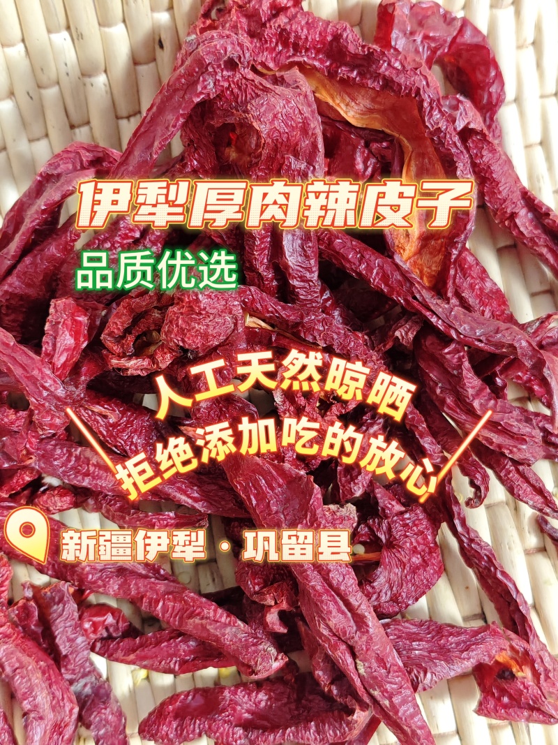 伊犁精品天然晾晒厚肉辣皮子，新疆厚肉辣皮子