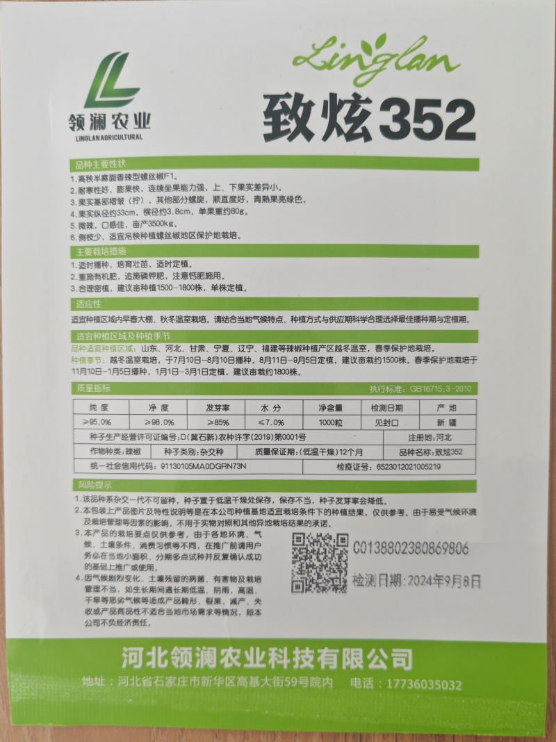 大果螺丝椒致炫352产量高颜色深果型大耐寒性好早春秋延越