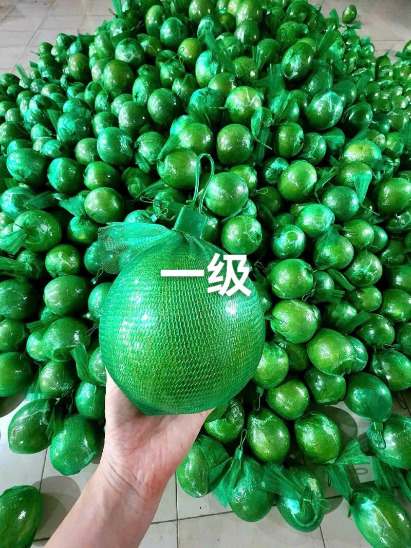 越南翡翠青柚