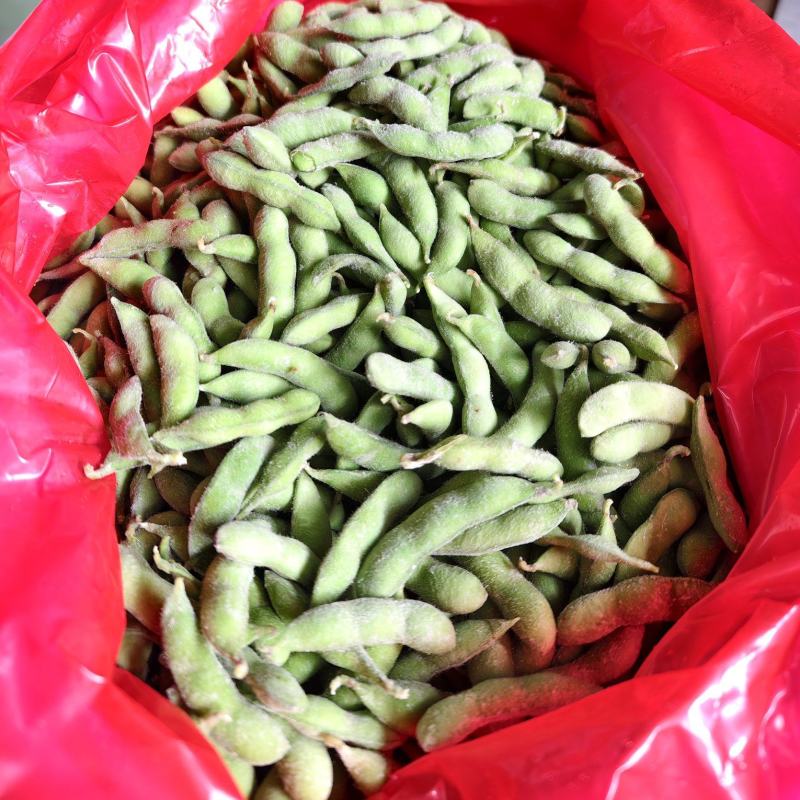 精品速冻翠绿宝