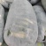 河南海南大白冬瓜，站瓜，个头大体型好，全国代发，视频看货