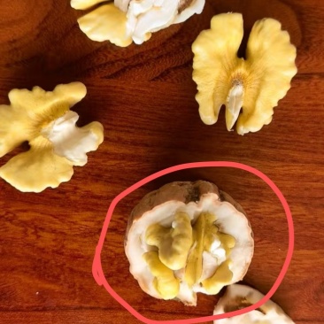 青核桃