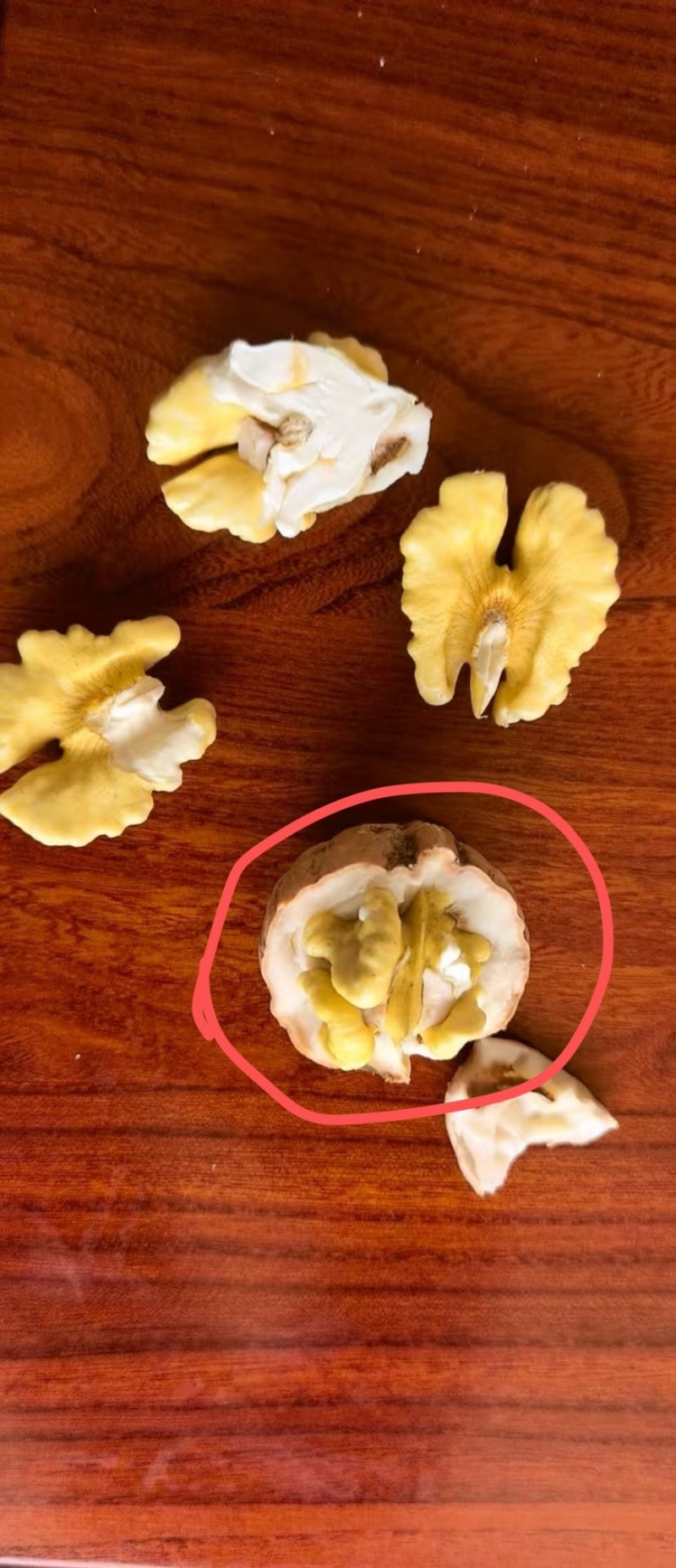 青核桃