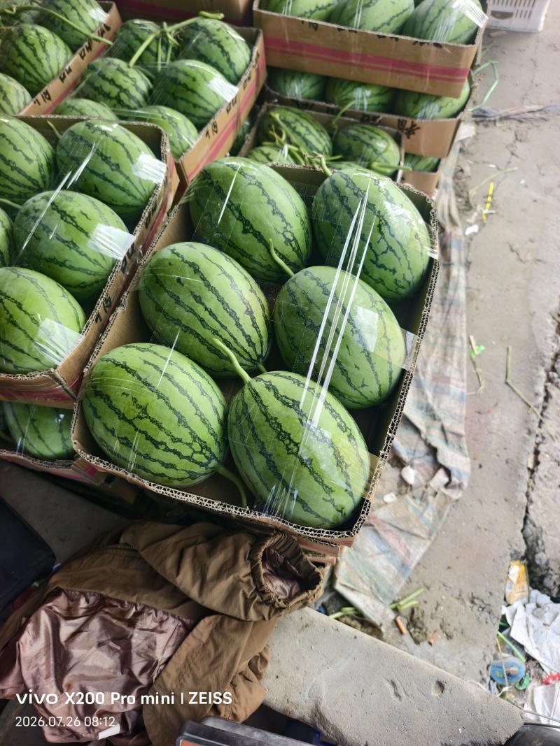 小吊瓜西瓜，河南滑县大量现货，产地直发，