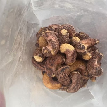 电商通用腰果精品电商货全国***