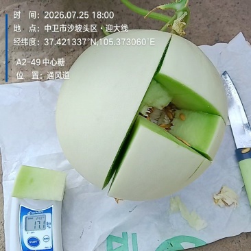 玉姑冰淇淋奶油甜瓜