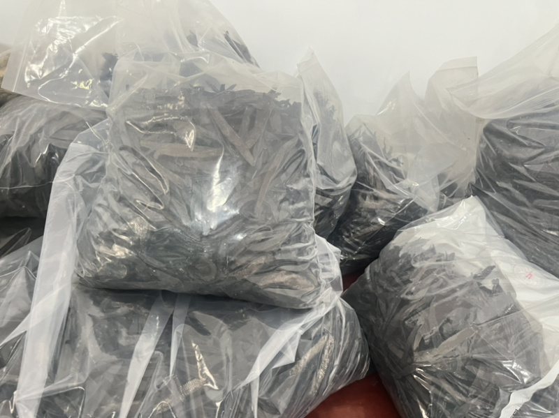 广西菲牛蛭，没有异味，菲牛蛭**的货，含量高，有大货
