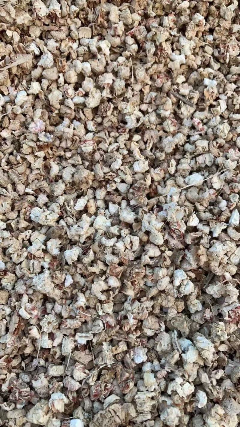 玉米芯颗粒食用菌原料