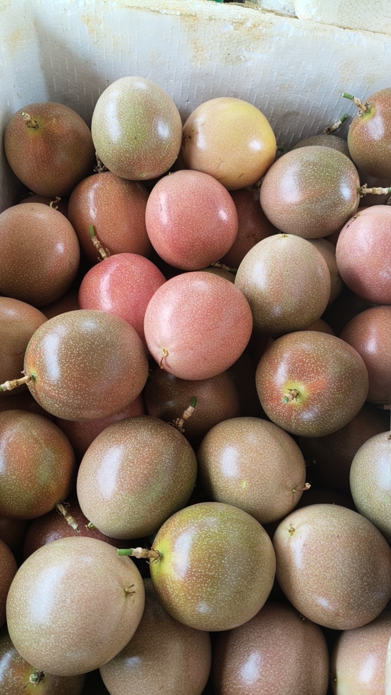 云南蒙自钦蜜88百香果8分甜2分酸，自带紫果香味