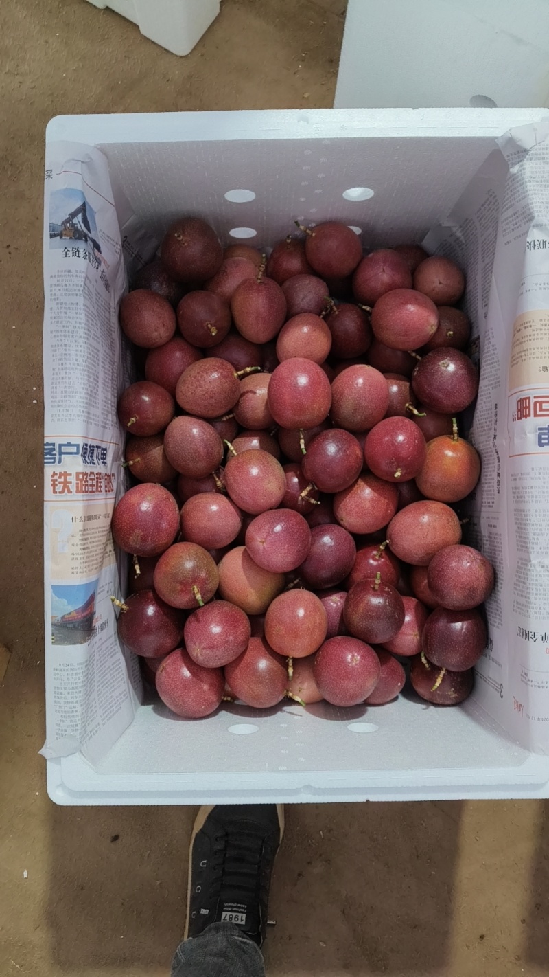 云南蒙自钦蜜88百香果8分甜2分酸，自带紫果香味