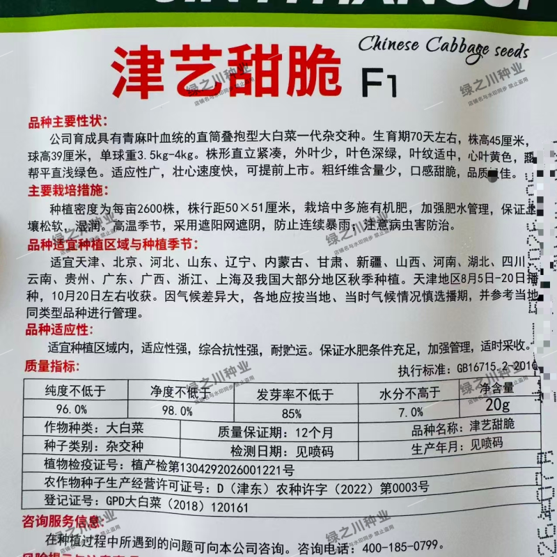 津艺甜脆大白菜种子直筒叠抱青麻叶类型白菜种子抗病秋季白菜