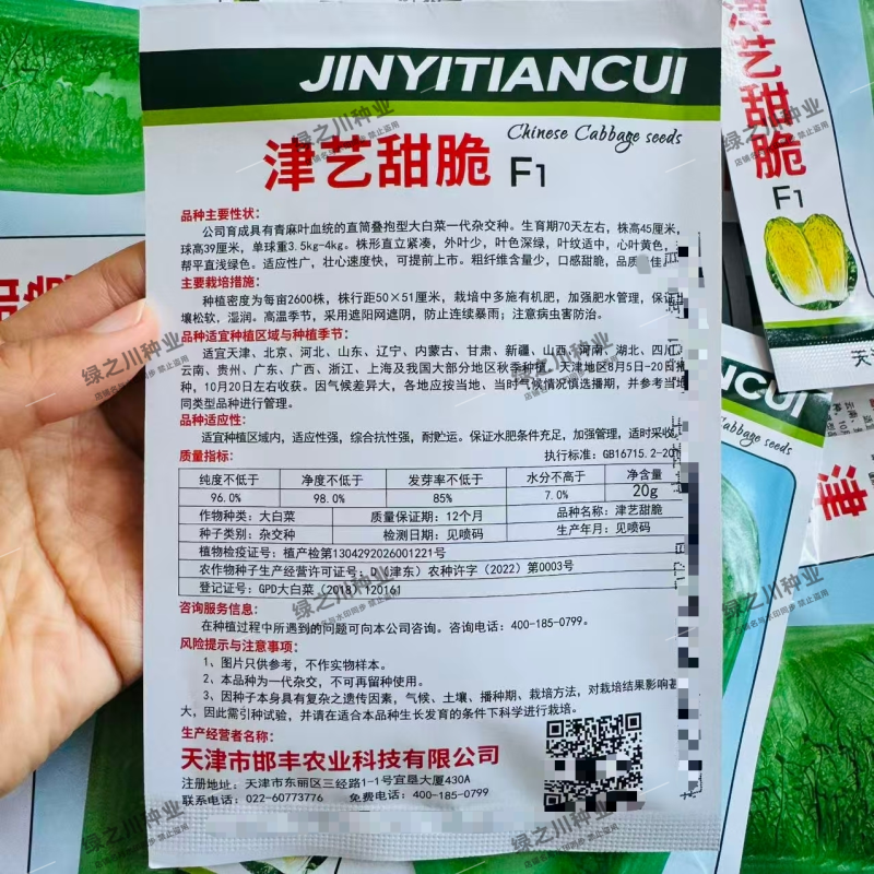 津艺甜脆大白菜种子直筒叠抱青麻叶类型白菜种子抗病秋季白菜