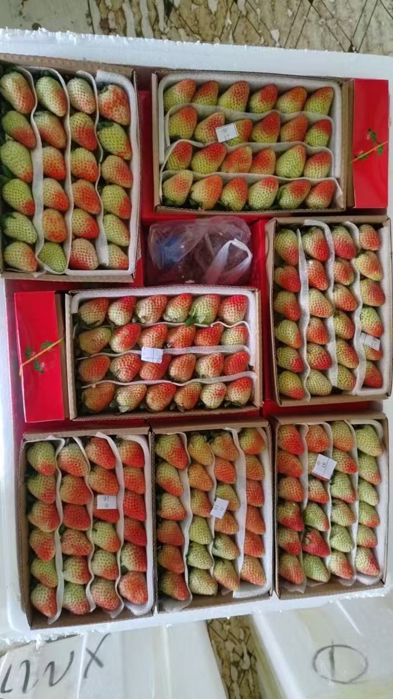 夏季草莓
