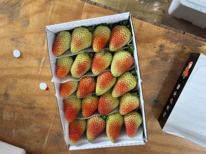 夏季草莓