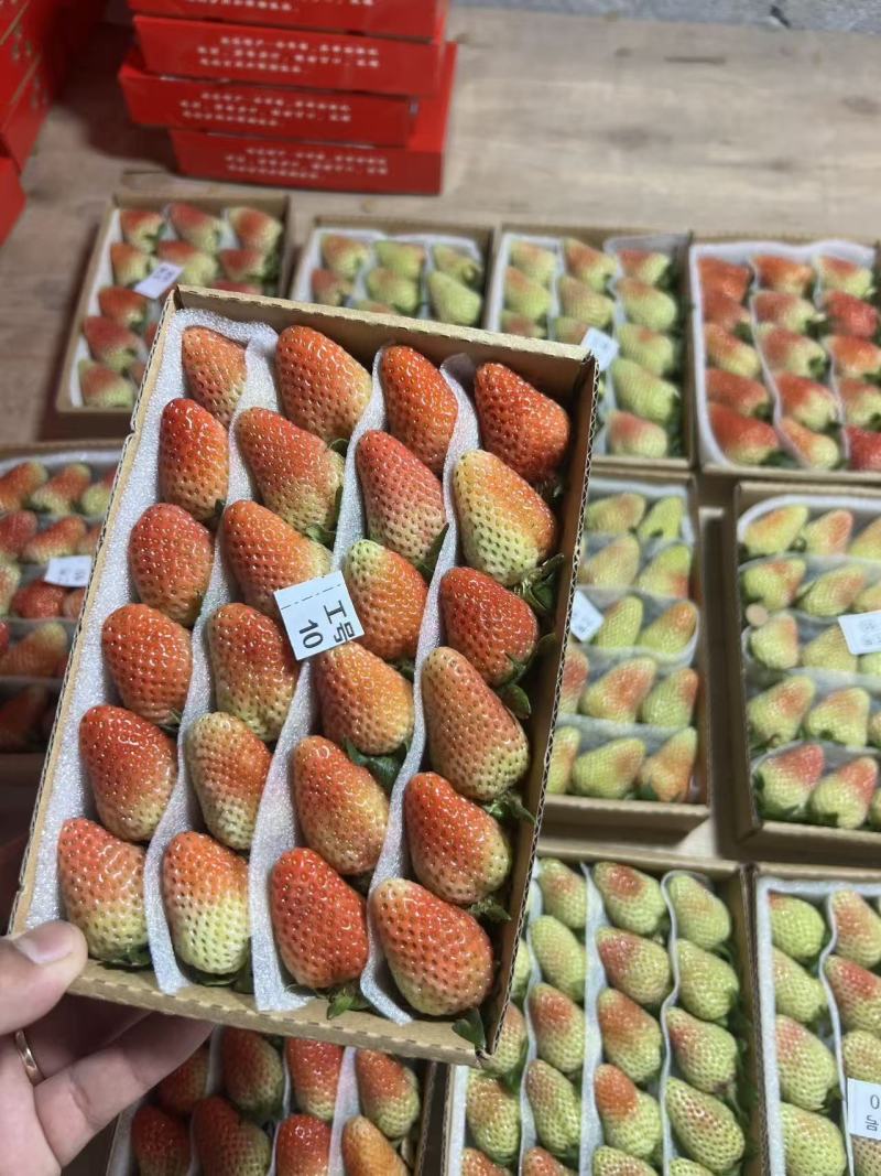 夏季草莓
