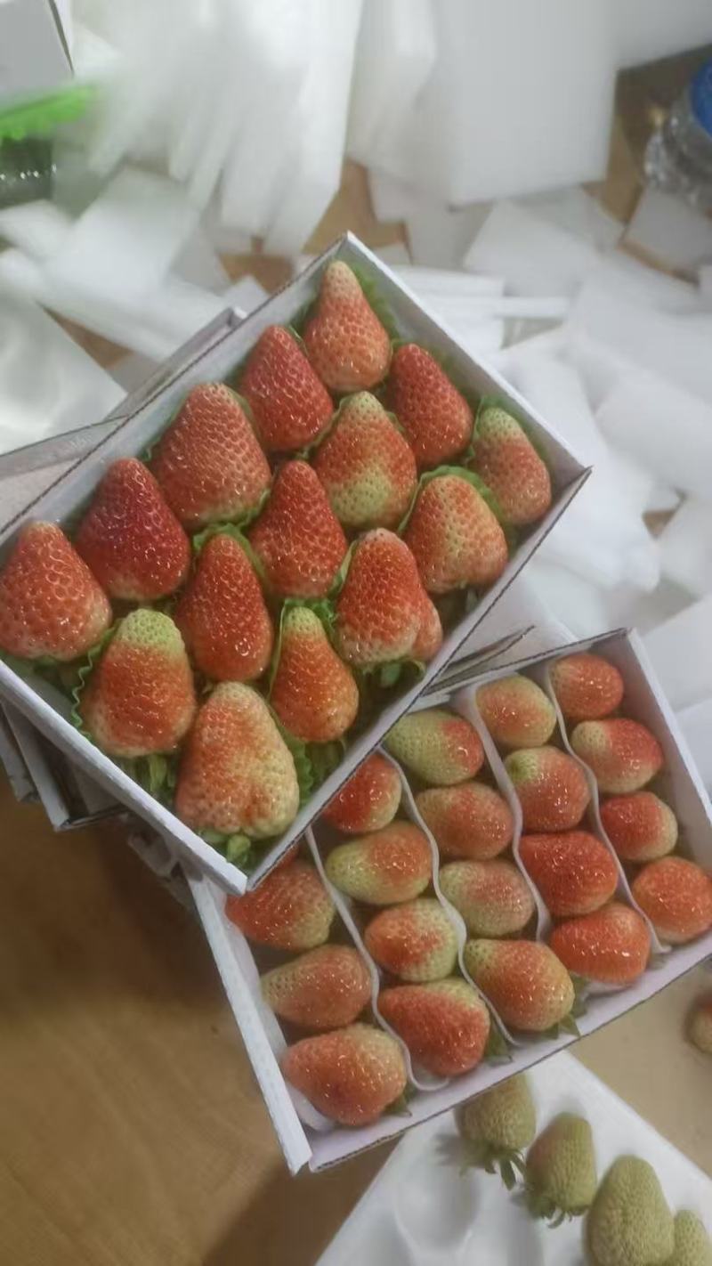 夏季草莓