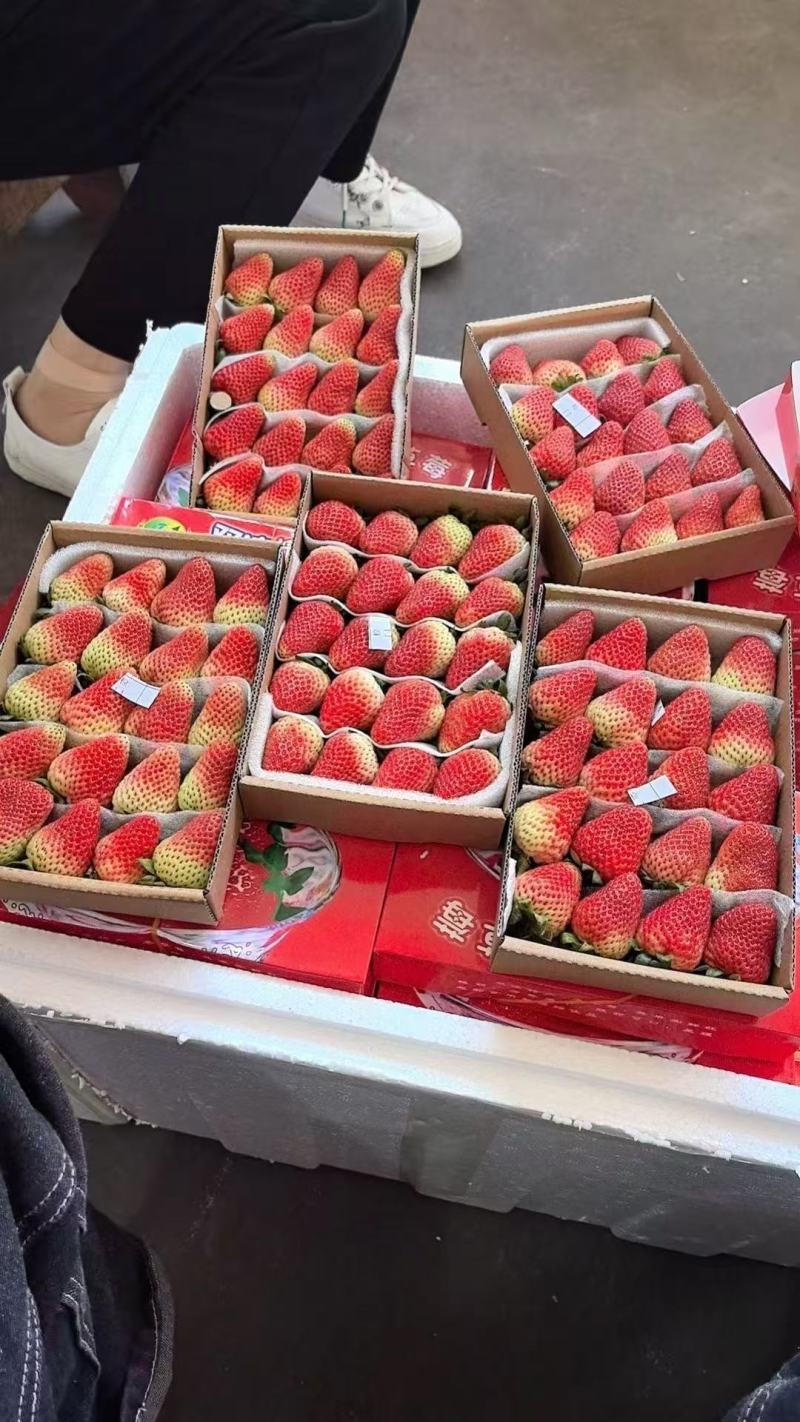 夏季草莓