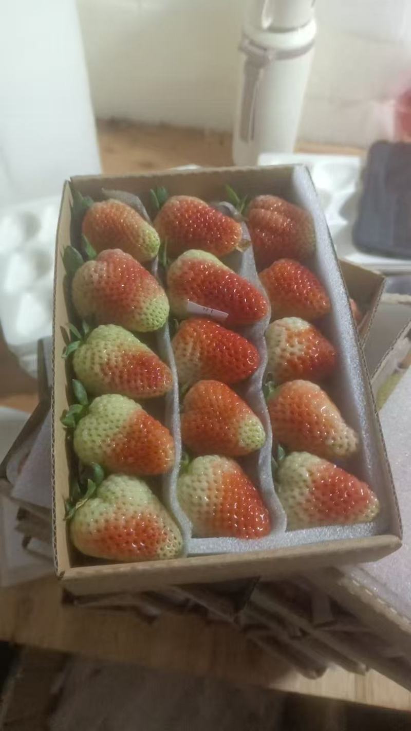 夏季草莓