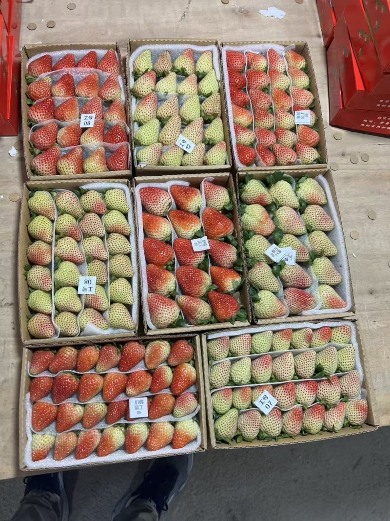 夏季草莓