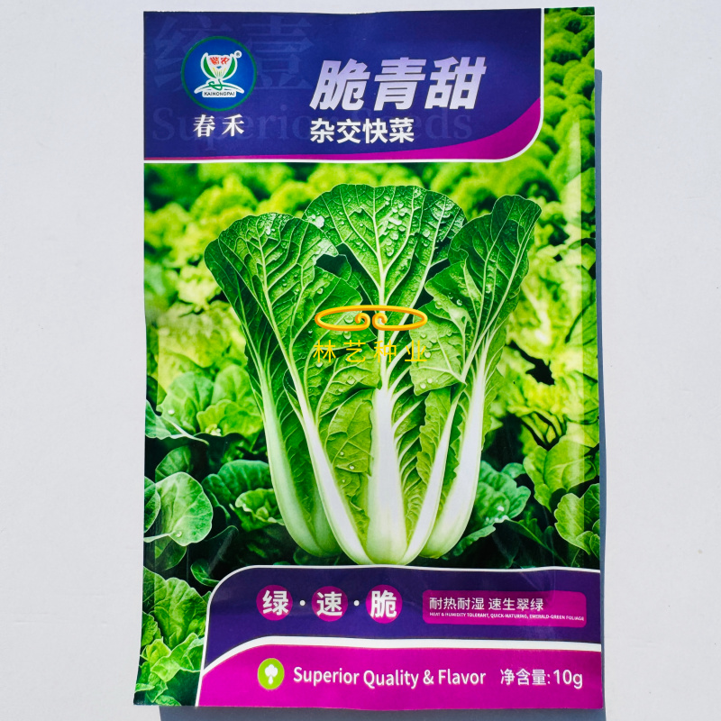 脆青甜杂交快菜种子耐热耐湿叶片翠绿无毛不易抽薹口感清甜爽