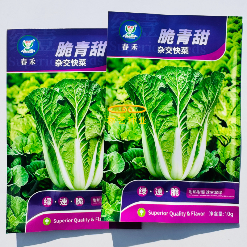 脆青甜杂交快菜种子耐热耐湿叶片翠绿无毛不易抽薹口感清甜爽