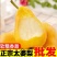 烟台太婆梨一件代发批发